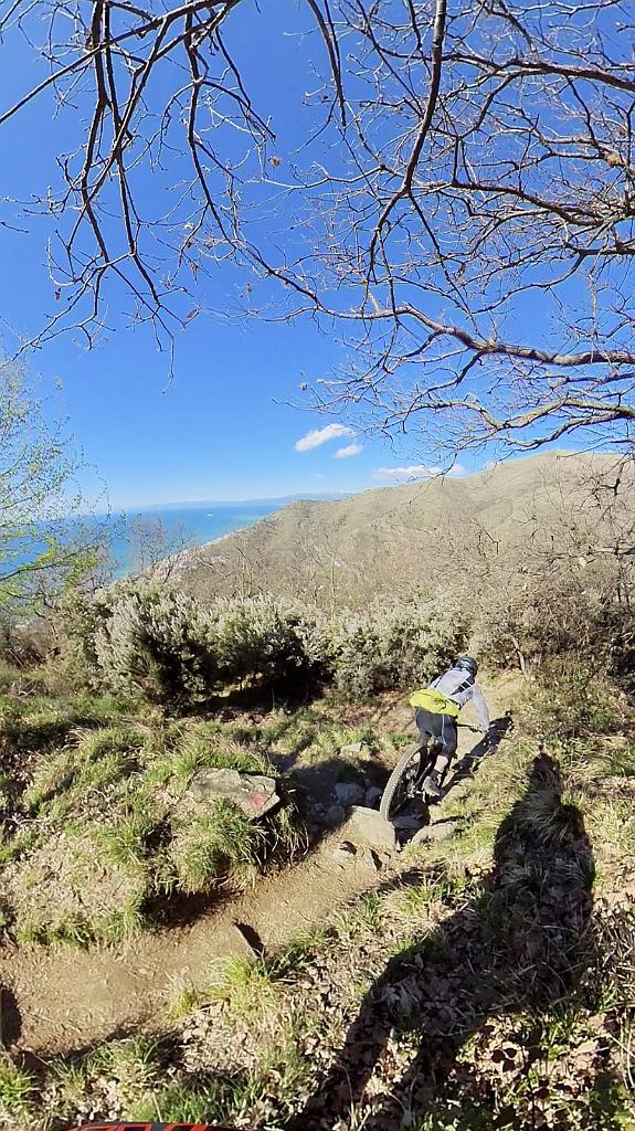 WhatsApp Image 2021-03-14 at 17.37.07.jpeg